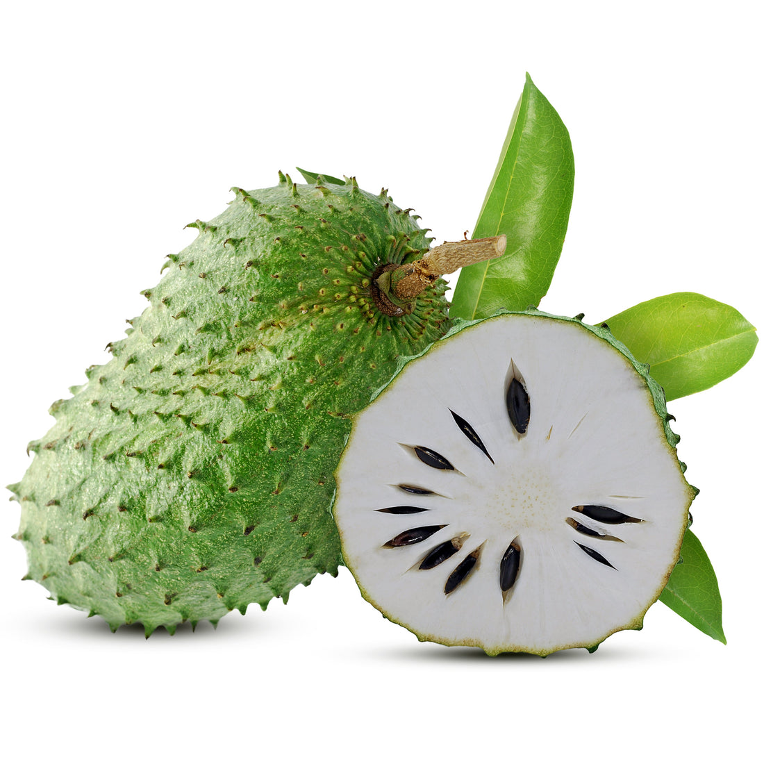 Soursop: A natural plant with many benefits.
