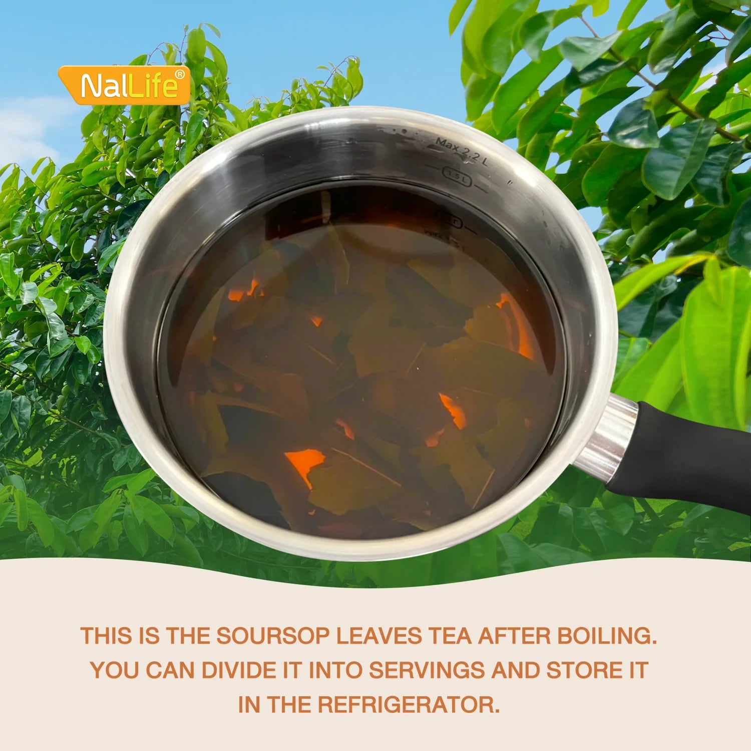 NalLife Soursop Leaves for Tea 200 Leaves