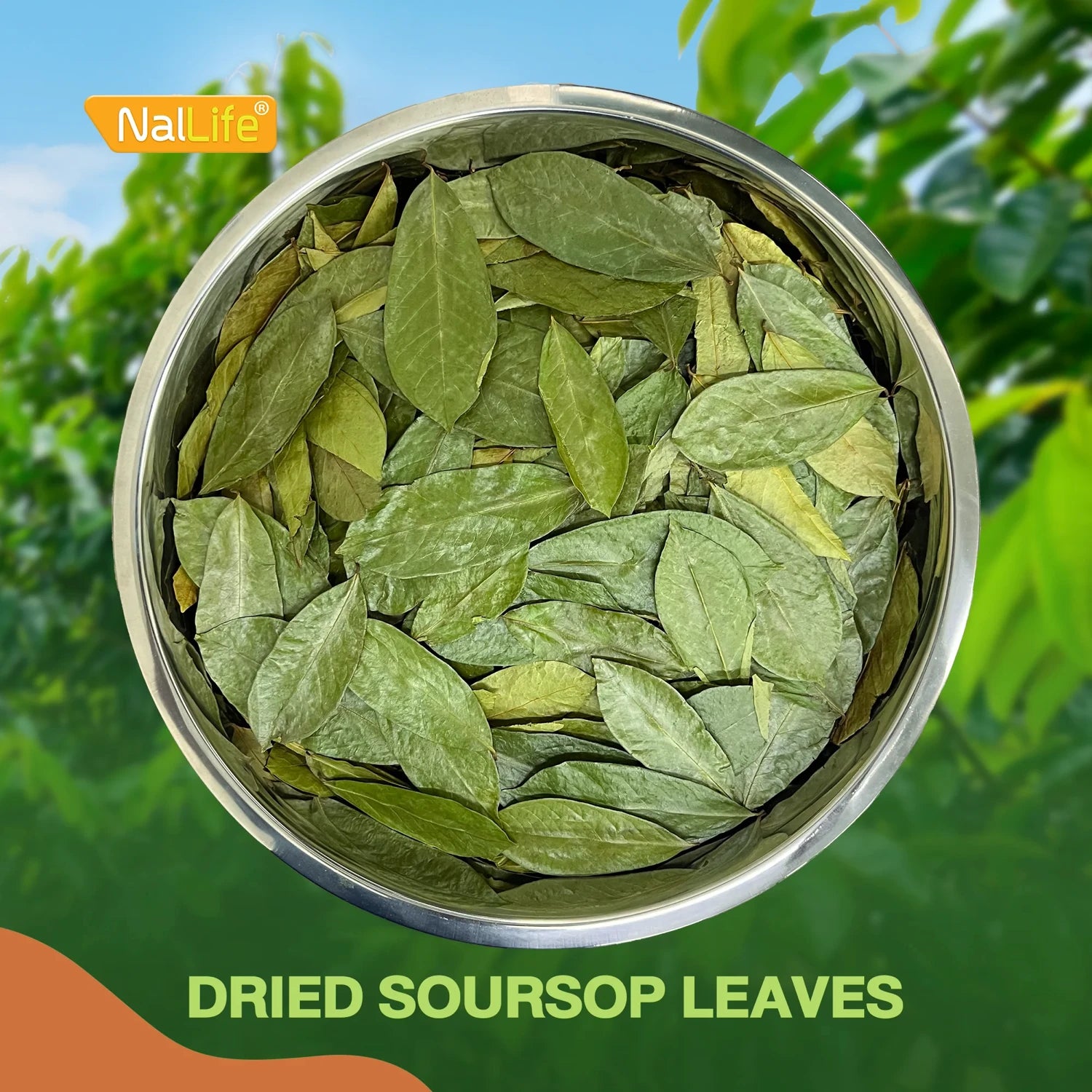 NalLife Soursop Leaves for Tea 300 Leaves