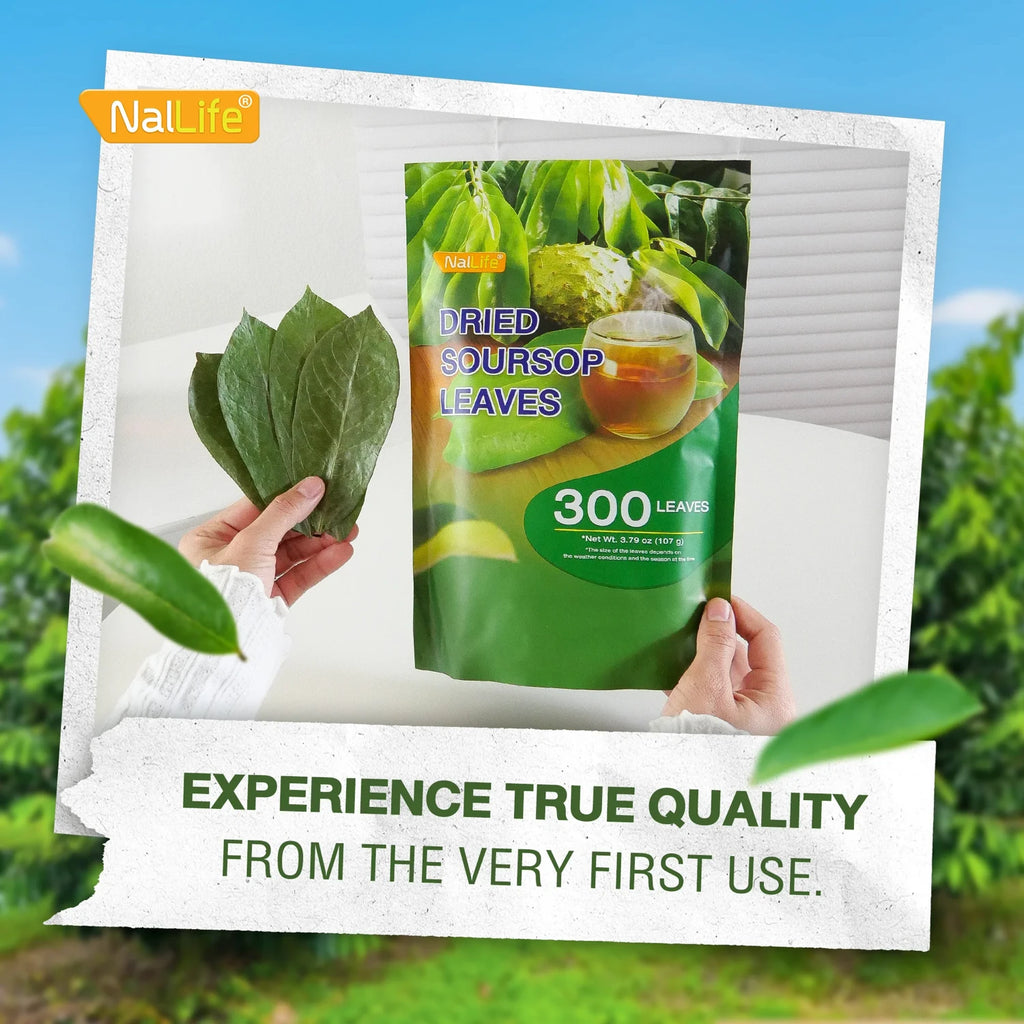 NalLife Soursop Leaves for Tea 300 Leaves